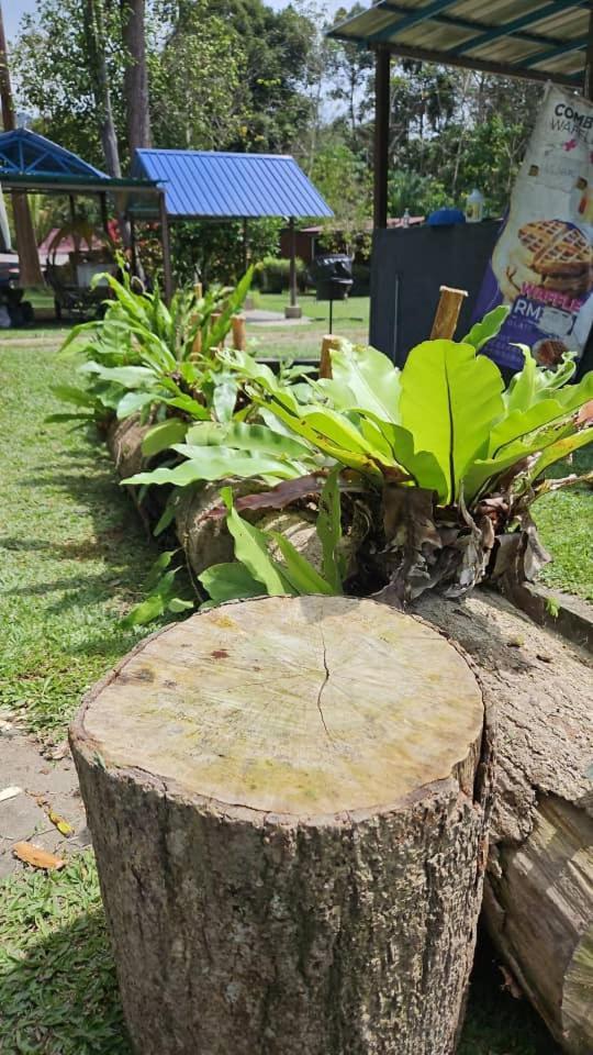 Gandah Forest Park Chalet Lanchang Exterior foto